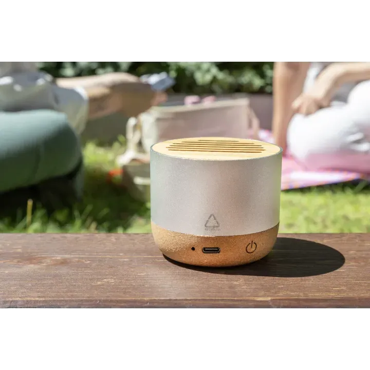 Wireless speaker - AP864105 (ANDA#21)